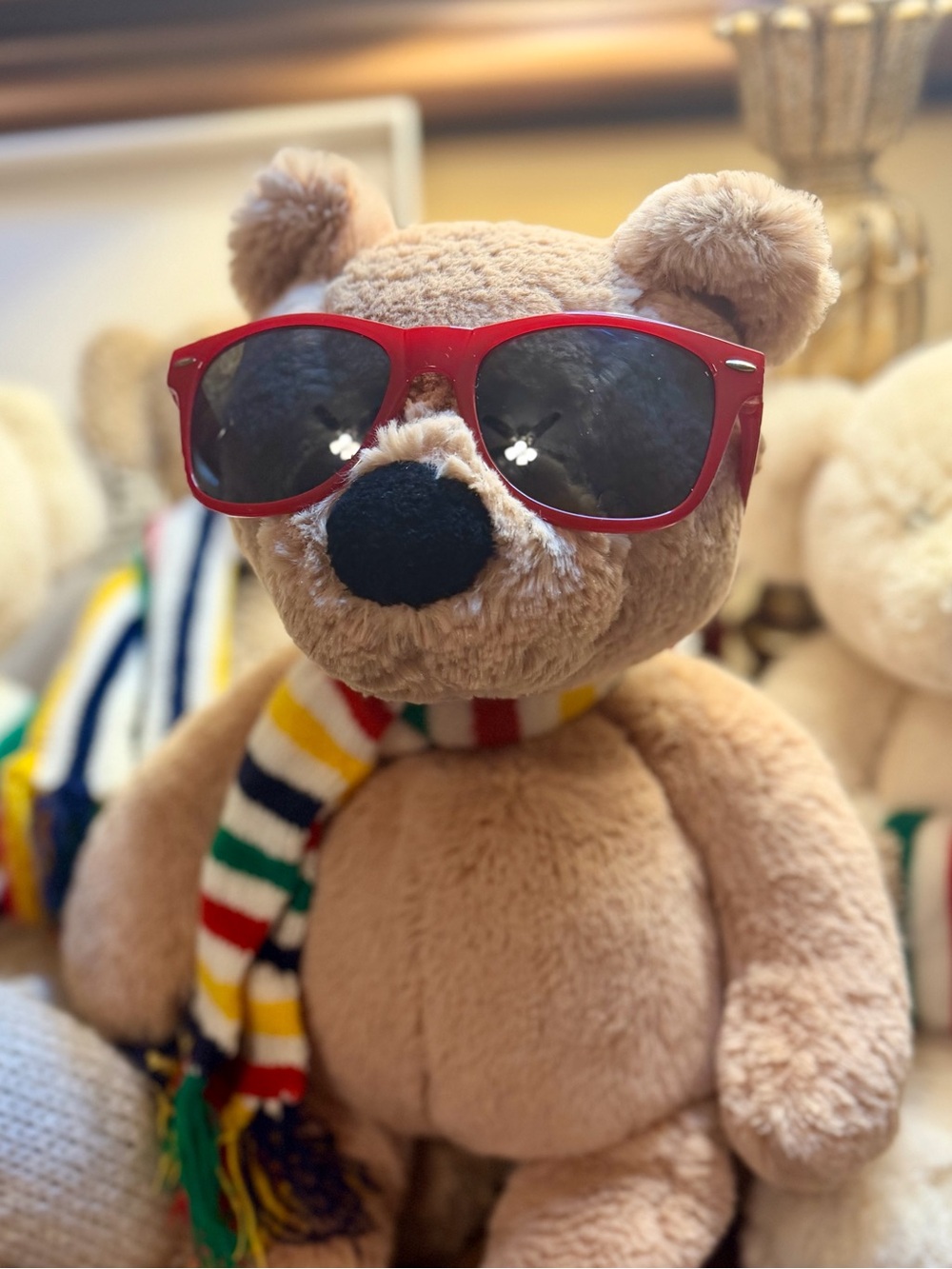 Hudson's Bay Company Team Canada Olympic Sunglasses-GUC